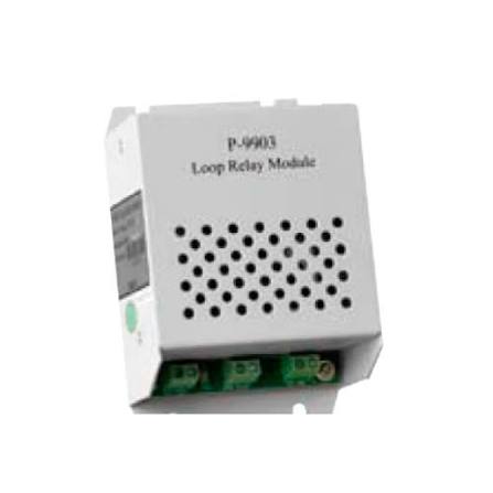GST P-9903